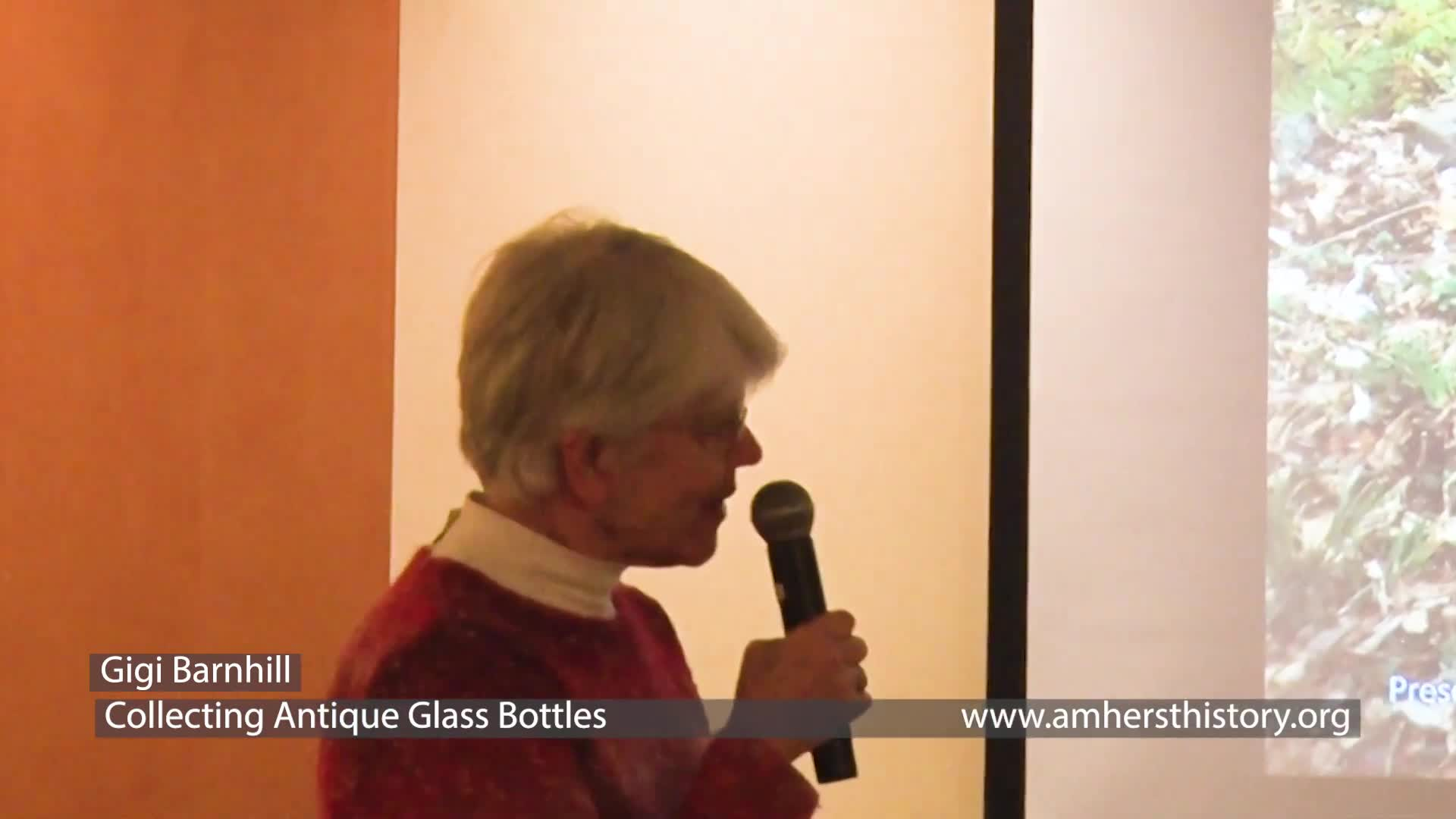 History Bites - Collecting Antique Glass Bottles