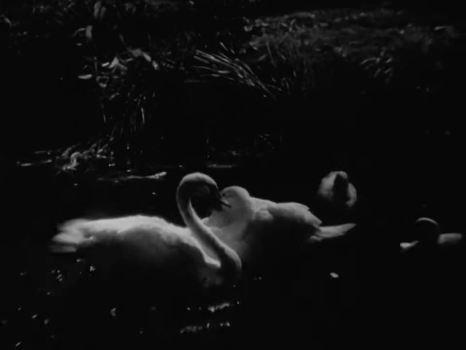 Thumbnail image for Perfect Understanding (1933 Feature Film)