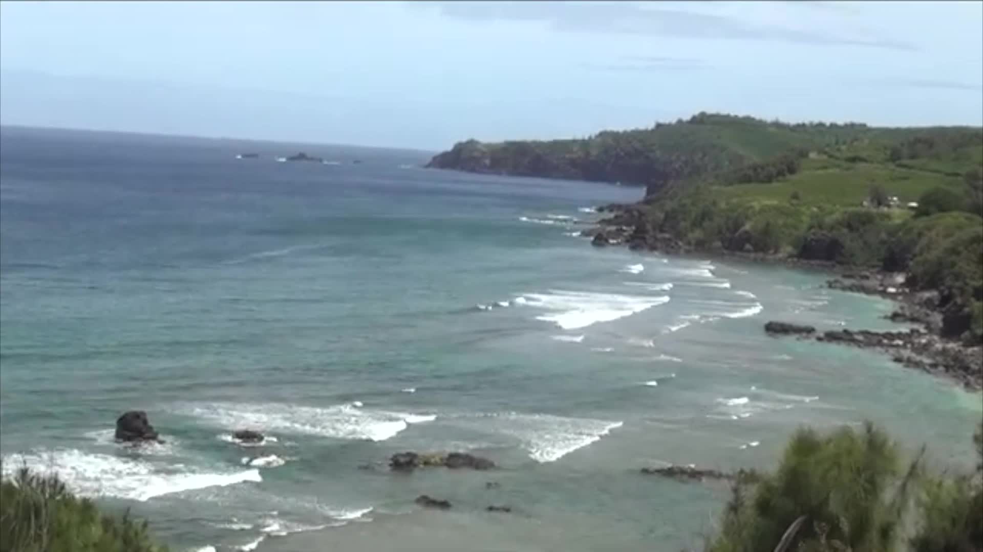 Thumbnail image for Appreciating The Gentle Giants: The Humpback Whales of Maui