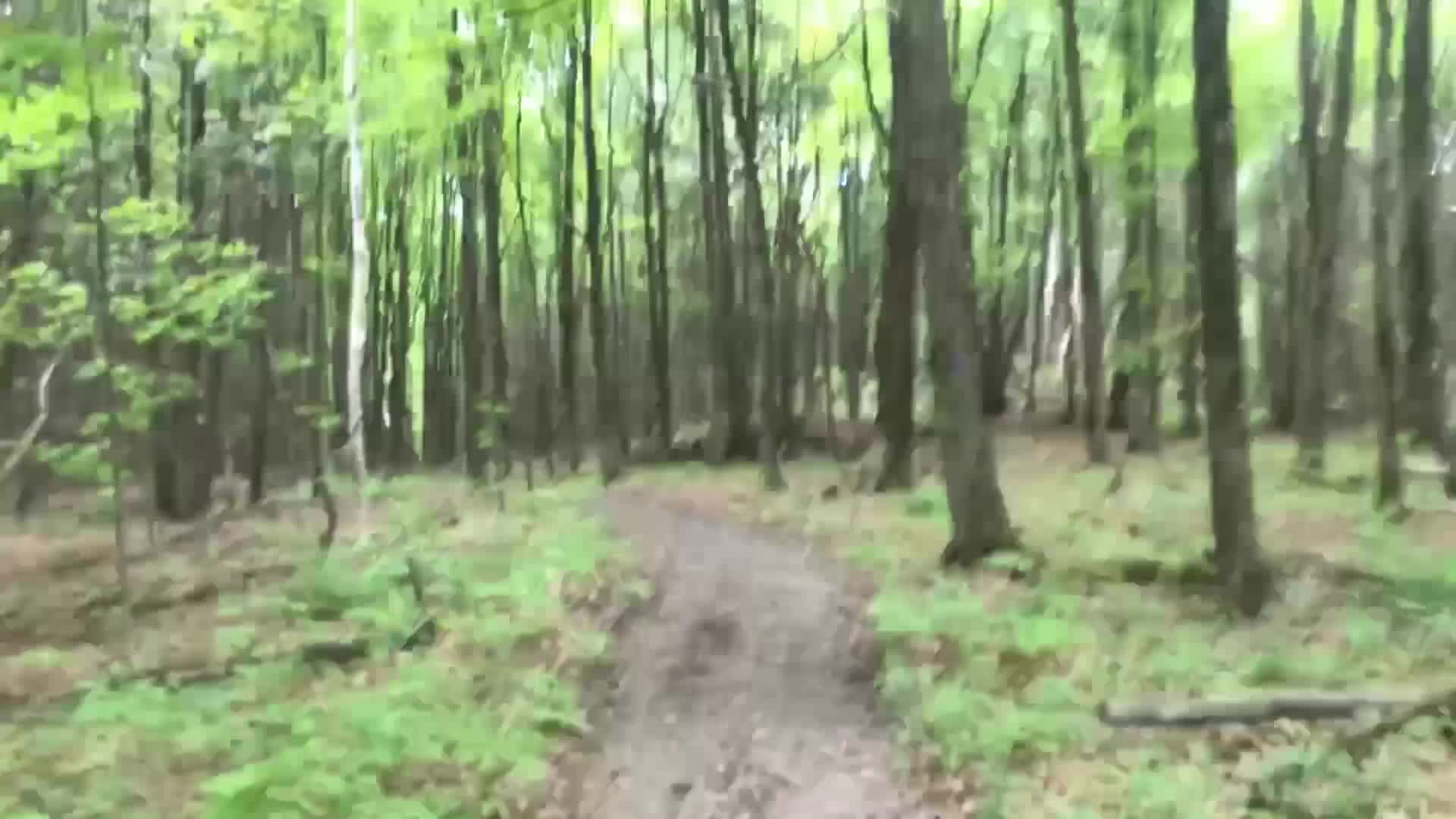 Rations - Bison Bowl & Peach Cobbler in a Lean-To