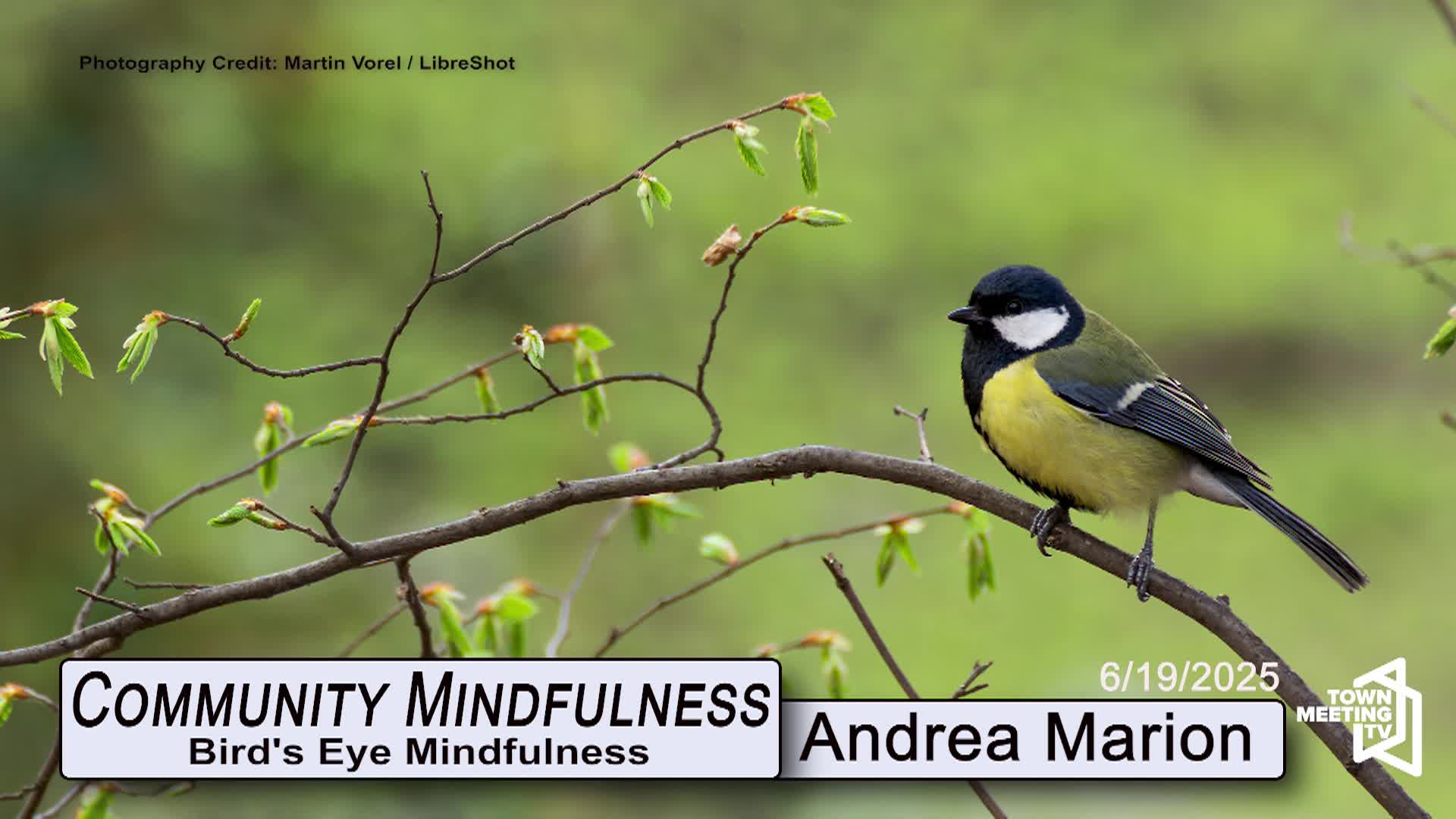 Thumbnail image for Community Mindfulness - Bird's Eye Mindfulness