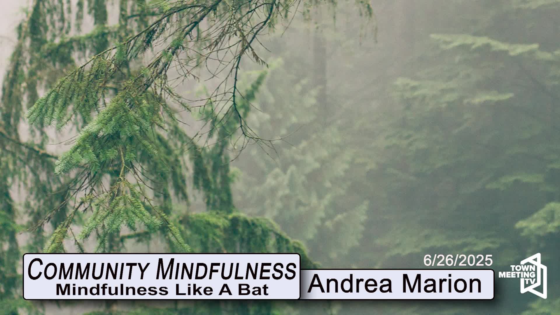 Thumbnail image for Community Mindfulness - Mindfulness Like A Bat