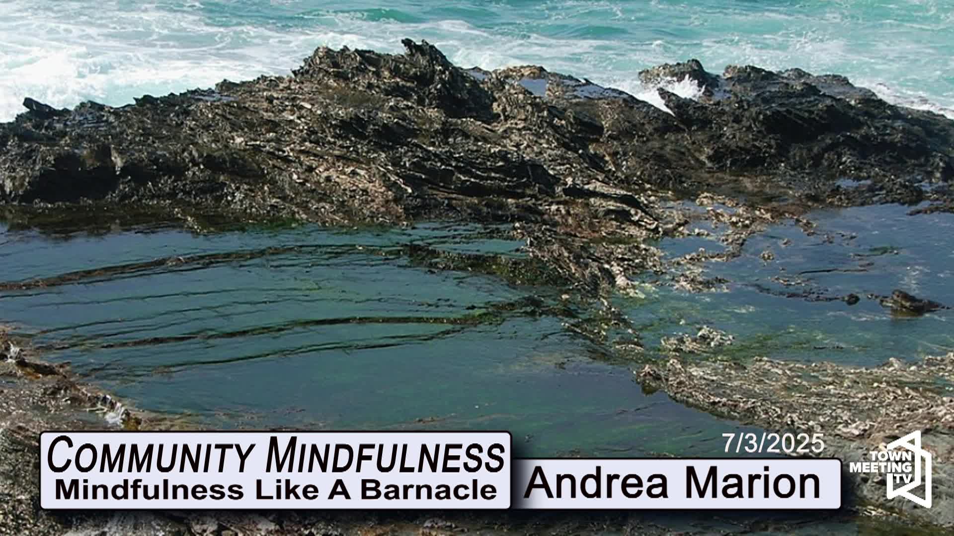 Thumbnail image for Community Mindfulness - Mindfulness Like A Barnacle