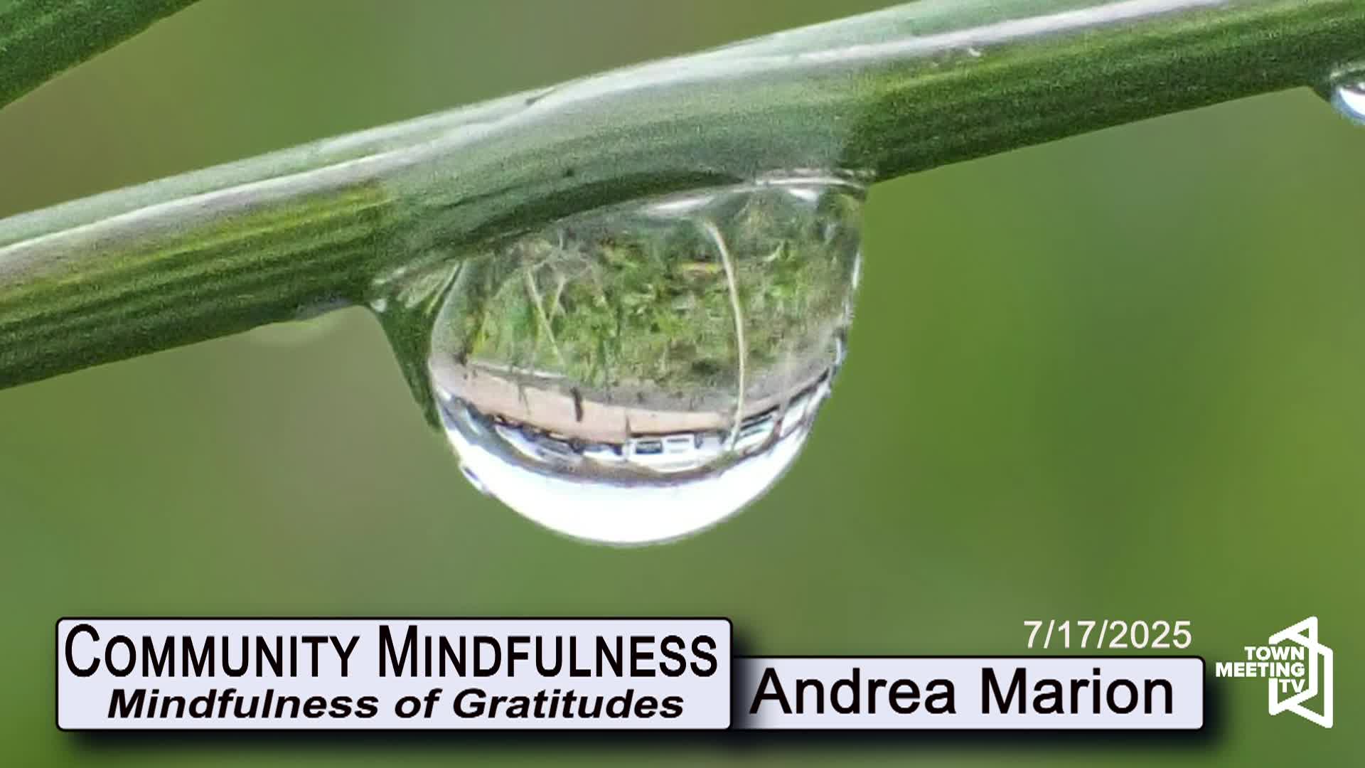 Thumbnail image for Community Mindfulness - Mindfulness of Gratitude