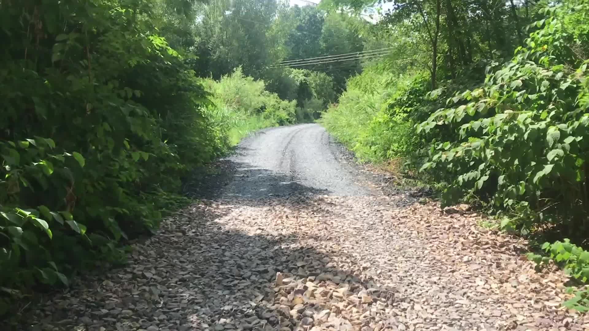 Rations - From Spillway To Bramble