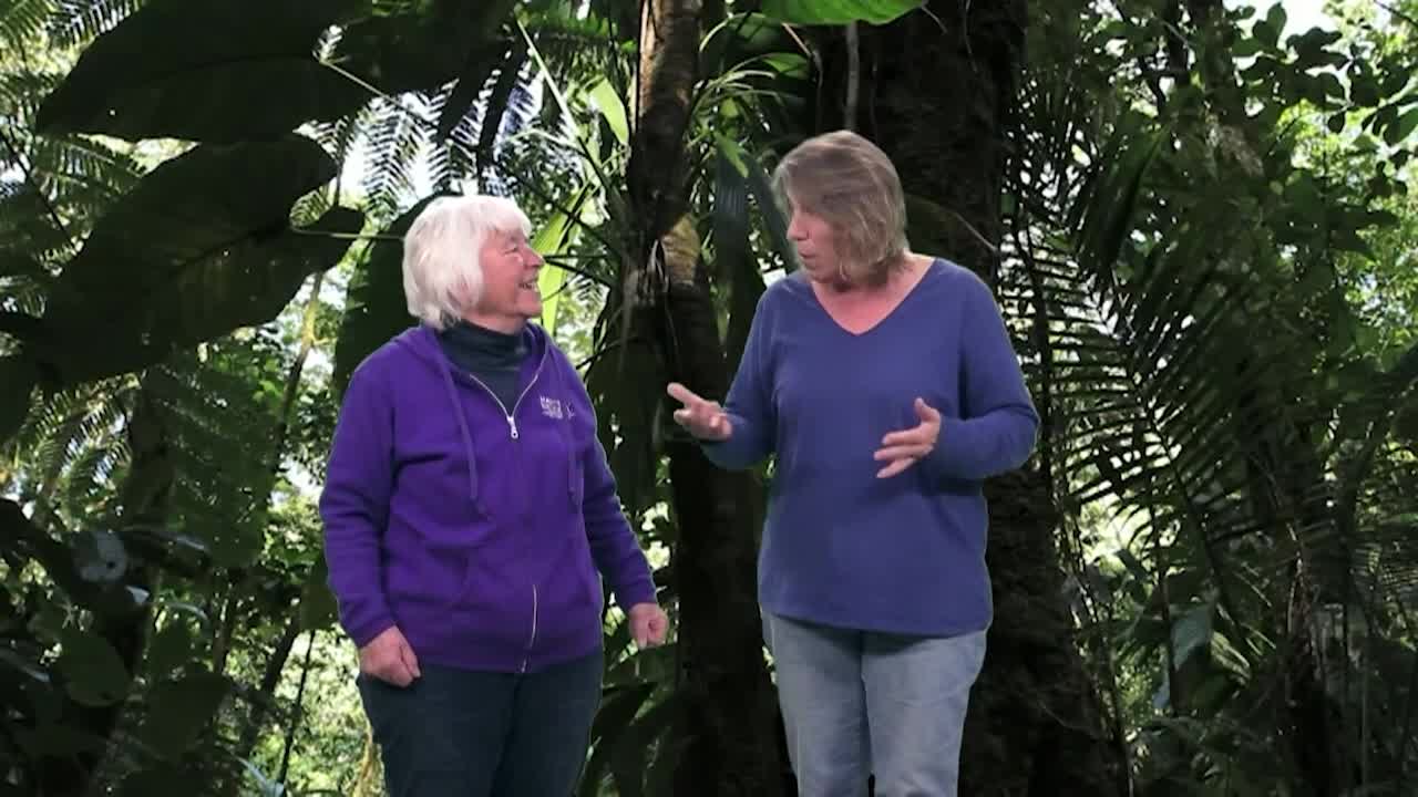 History Files - Farm Kitchens