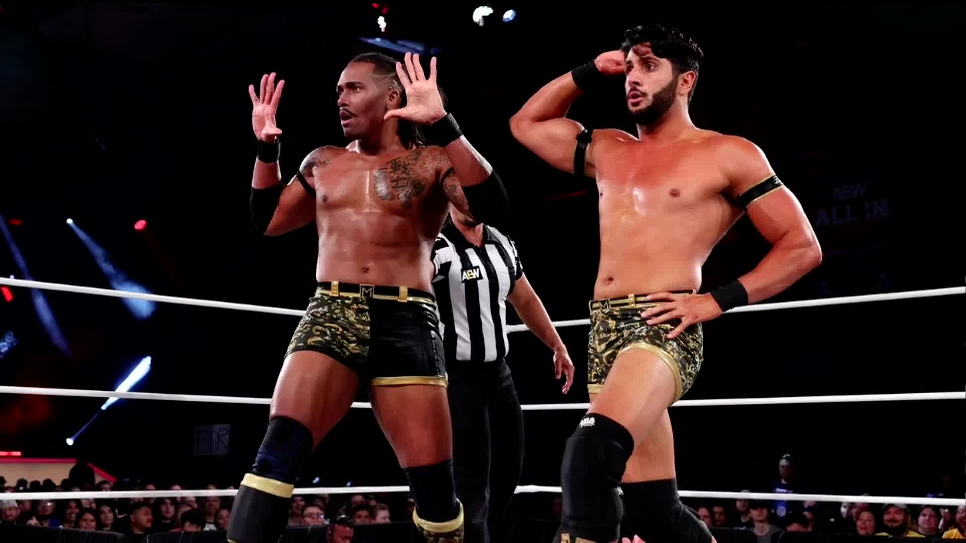Starship Wrestling