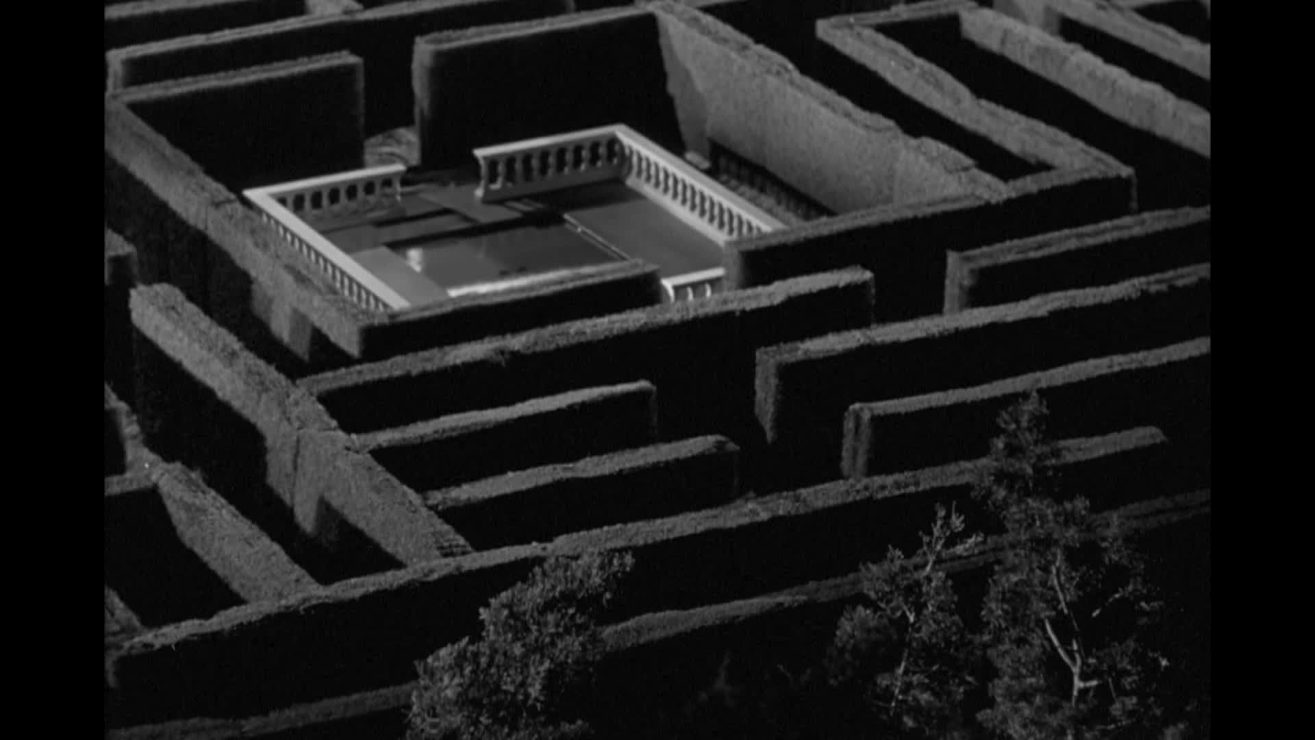 Livingston Presents The Maze