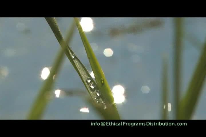 Christian Meditation - The Inner Physician & Healer