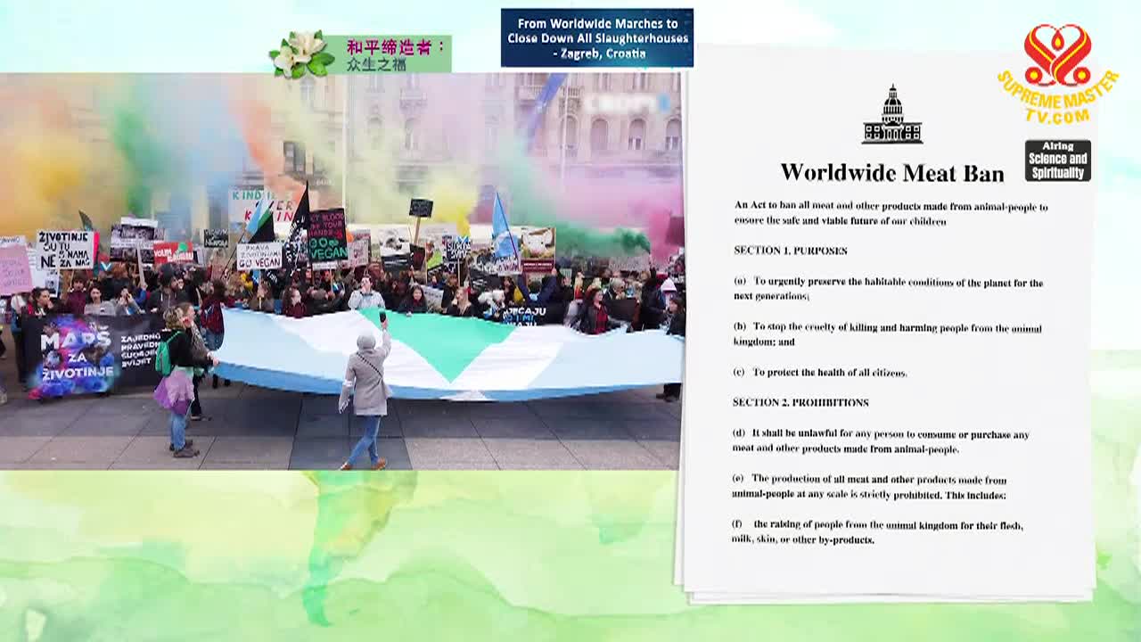 Supreme Master TV - AI: Reward Or Risk Part 2