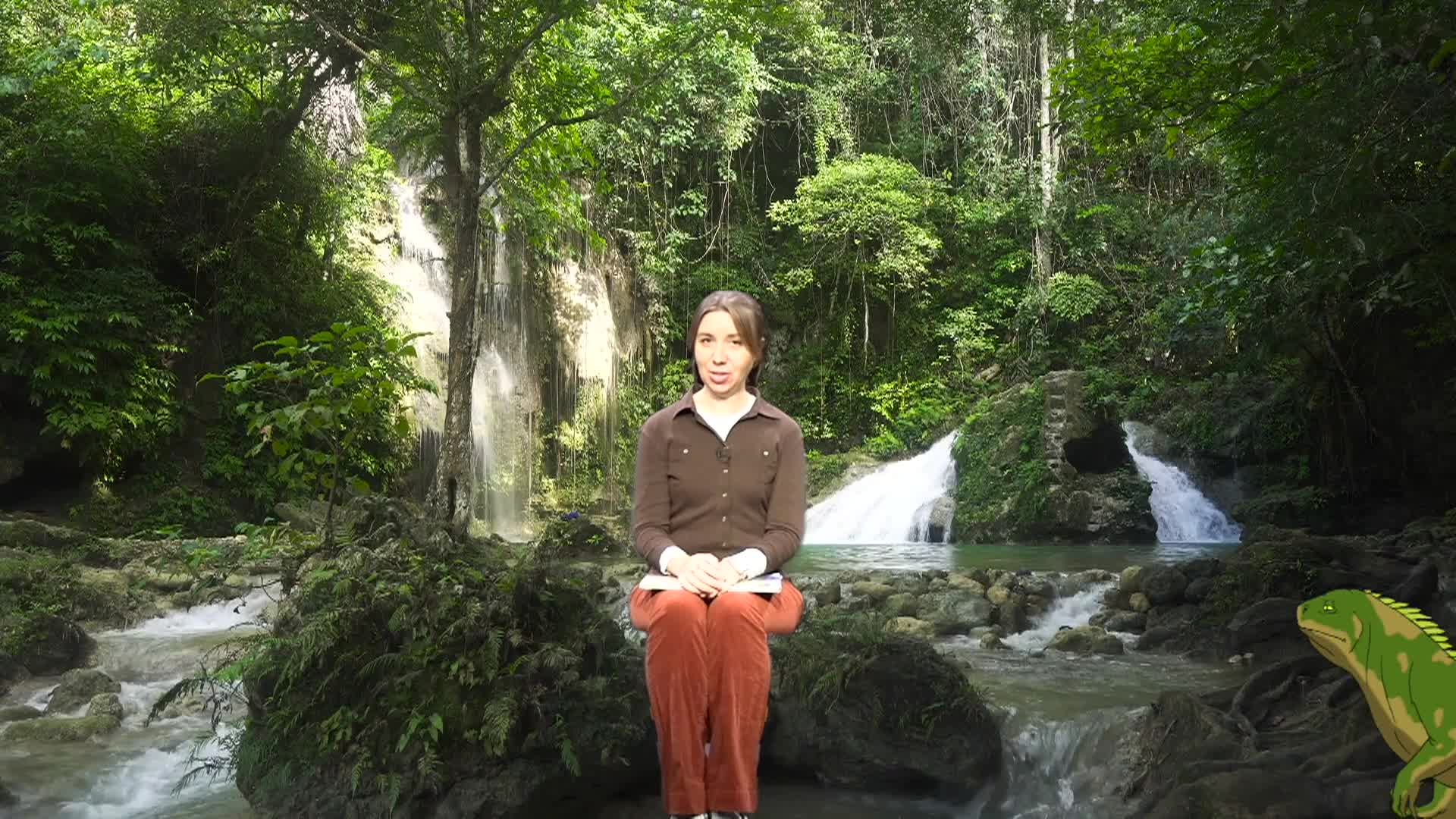 Cosette's Enchanted Journeys - 73: The Iguana Brothers