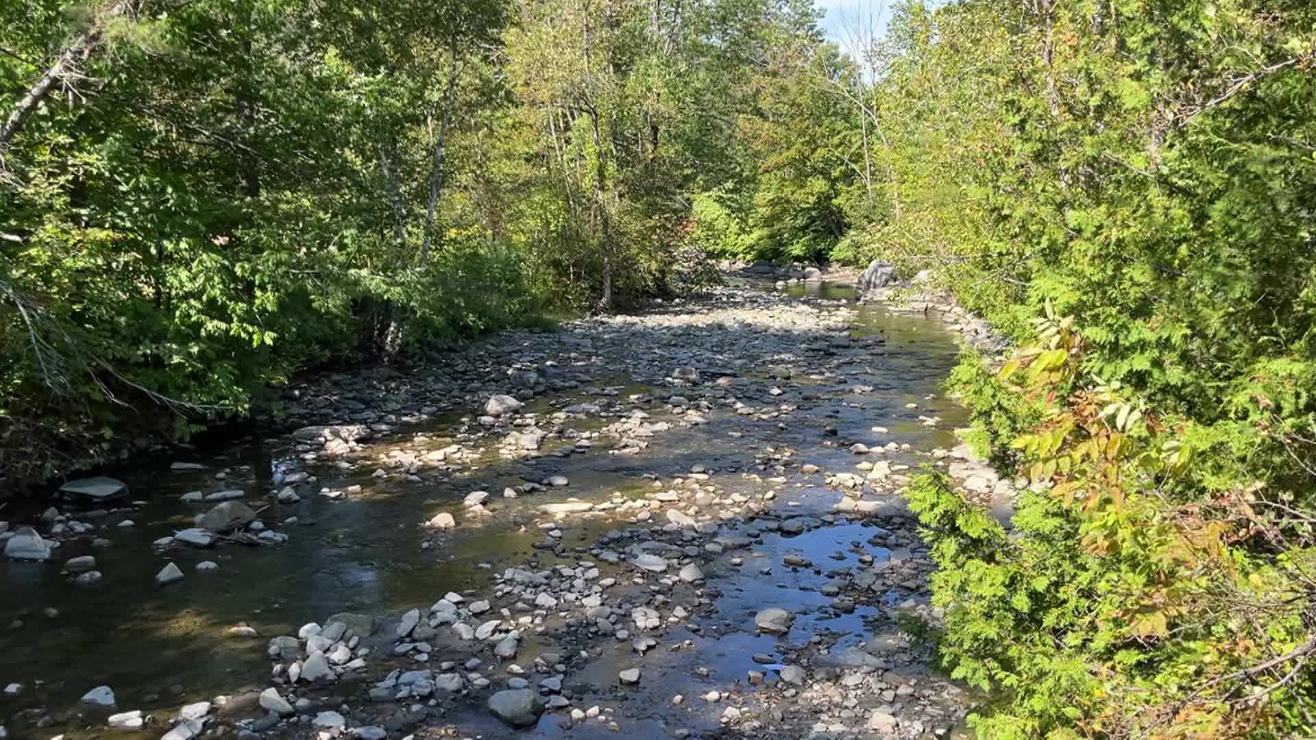 Vermont's 100 Covered Bridges - Robbins Nest, East Barre
