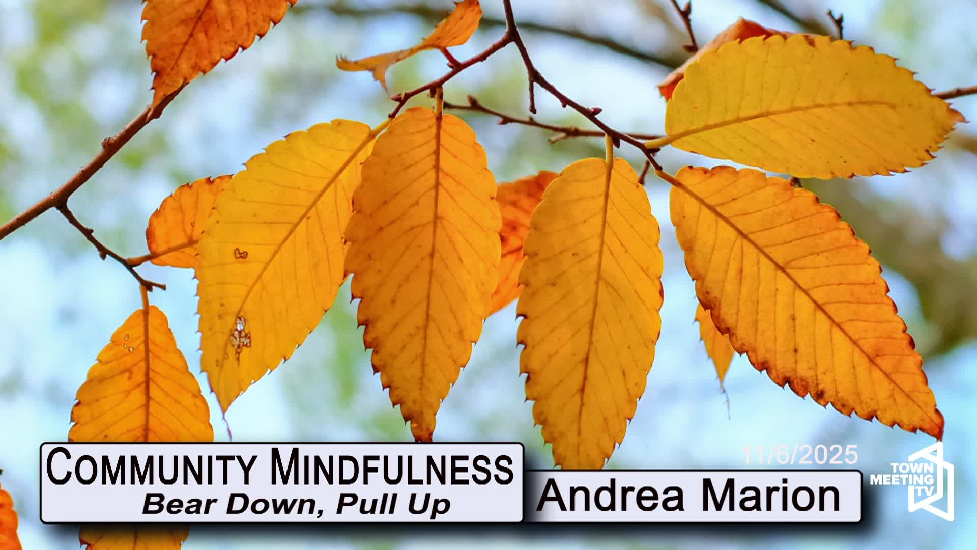Community Mindfulness - Bear Down, Pull Up
