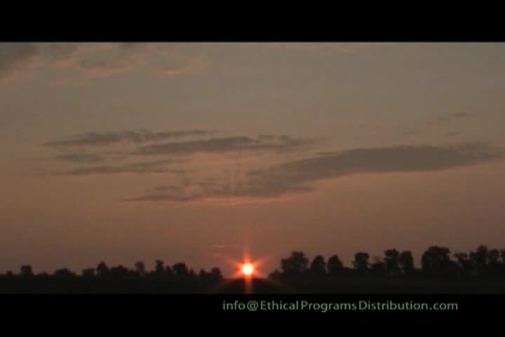 Christus - A New Year A New Life