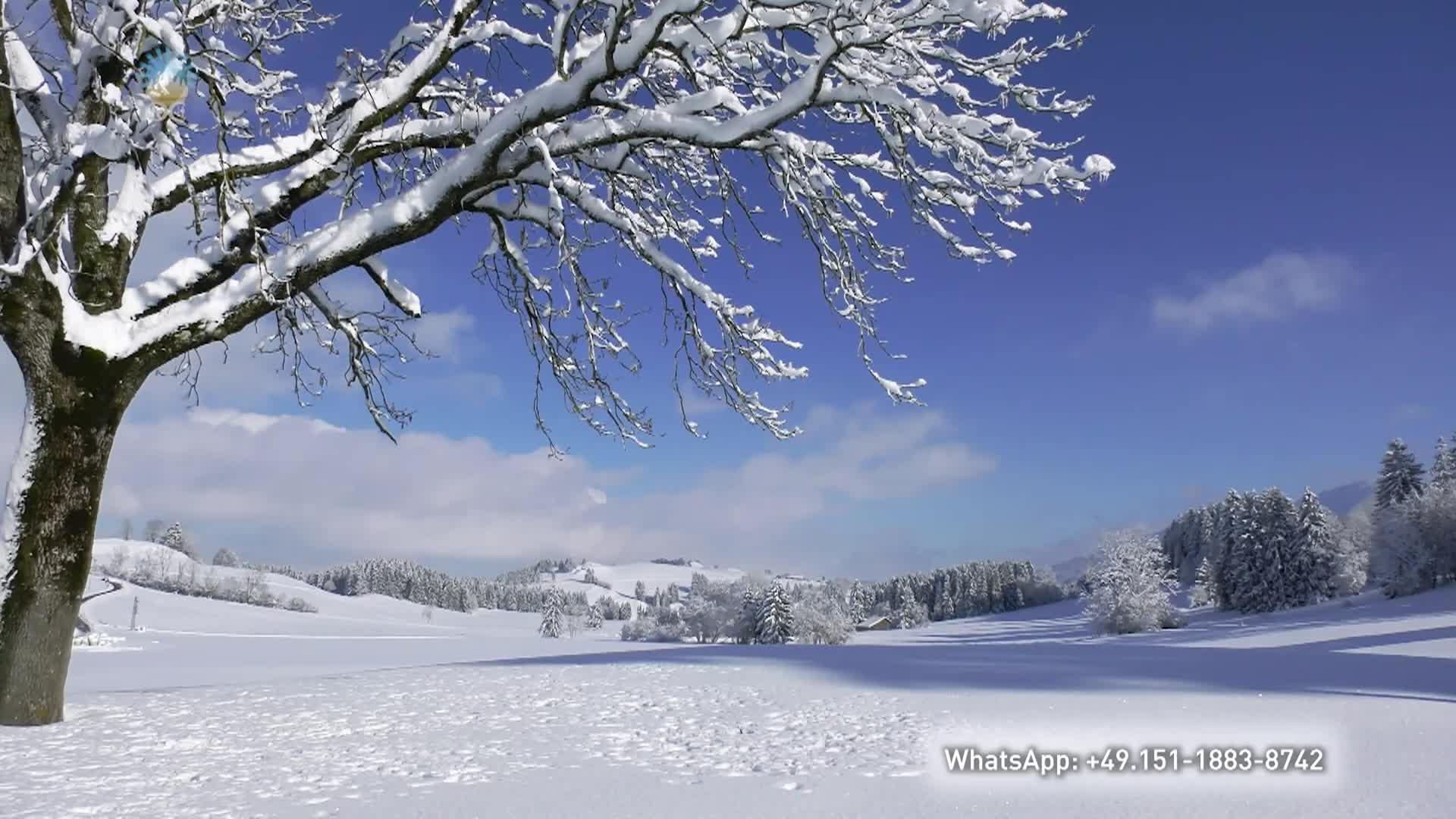 Christus - Meditation For The Turn Of The Year