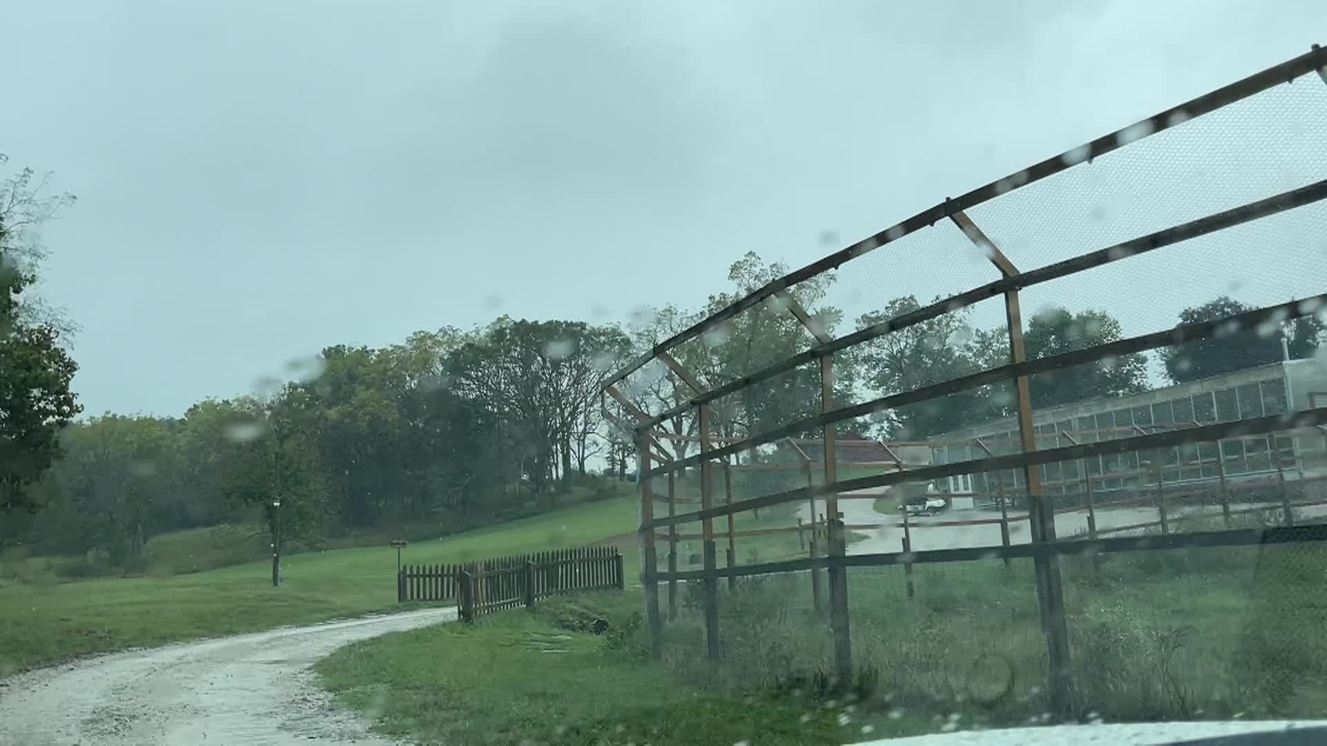 Cooking And Kids - Sweet Beet Salad