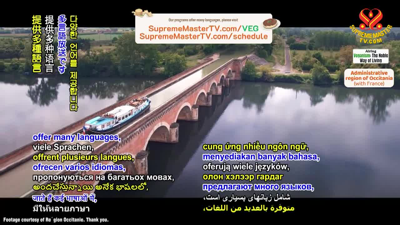 Supreme Master TV - Dairy Free Fermented Cheese Part 2