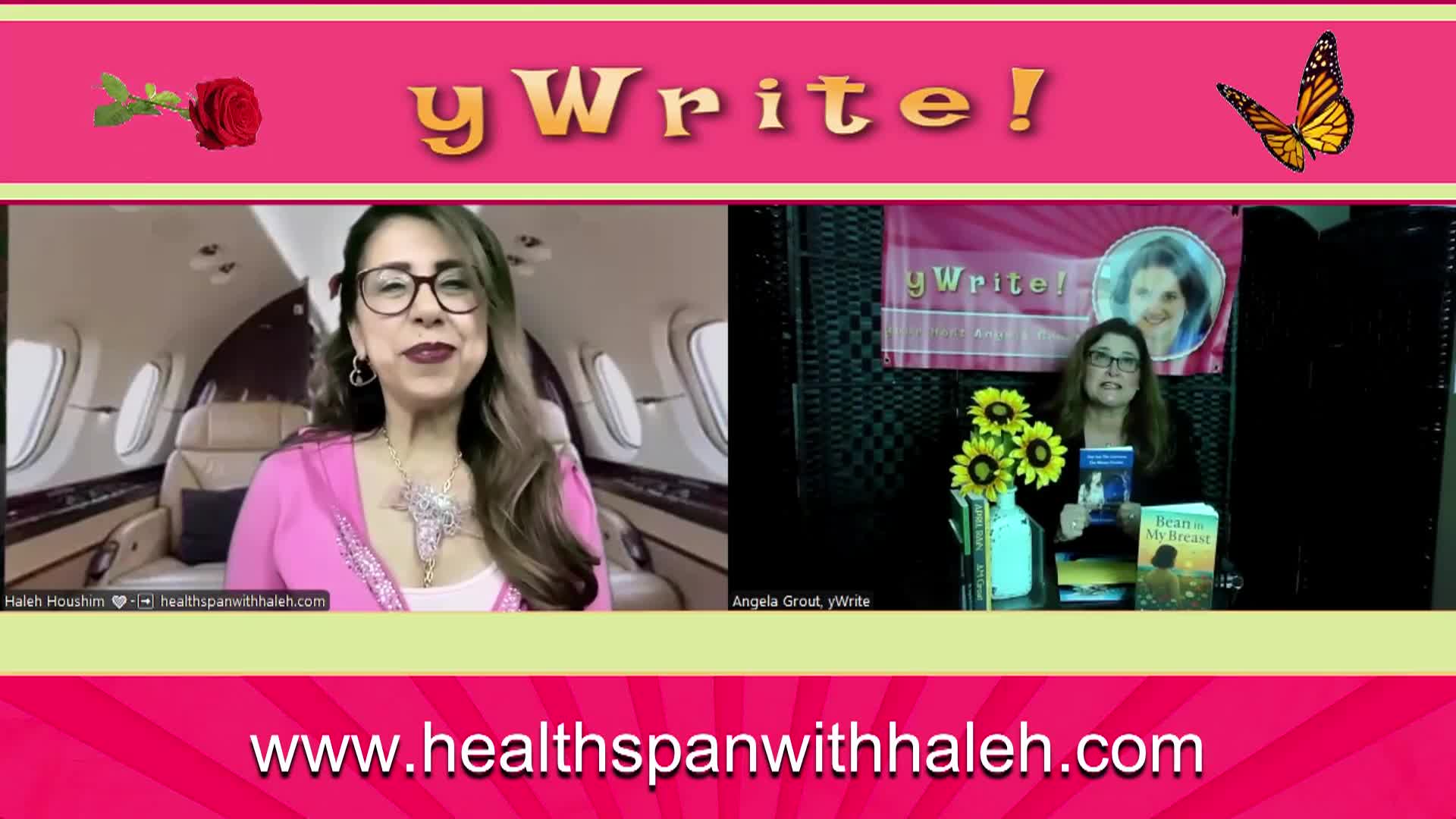 yWrite - Haleh Houshim Explains Quantum Writing