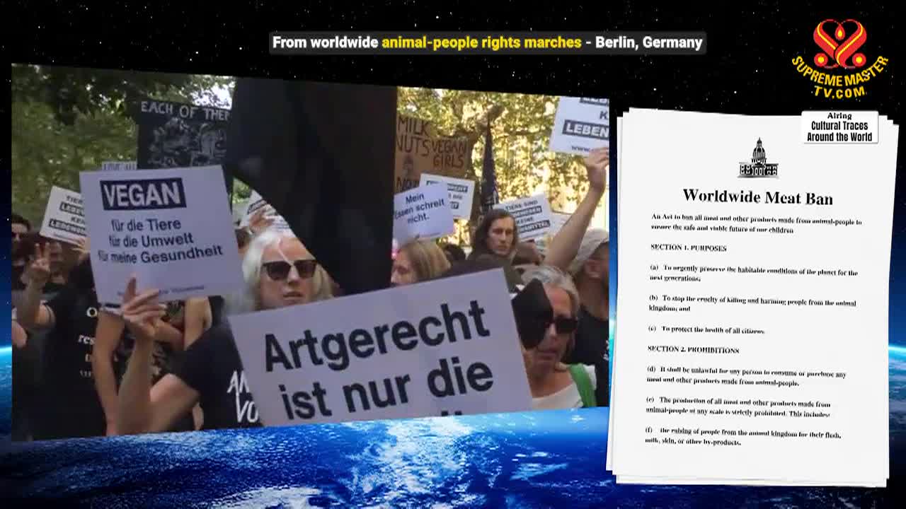 Supreme Master TV - Hammocks Through History and Into Tranquility