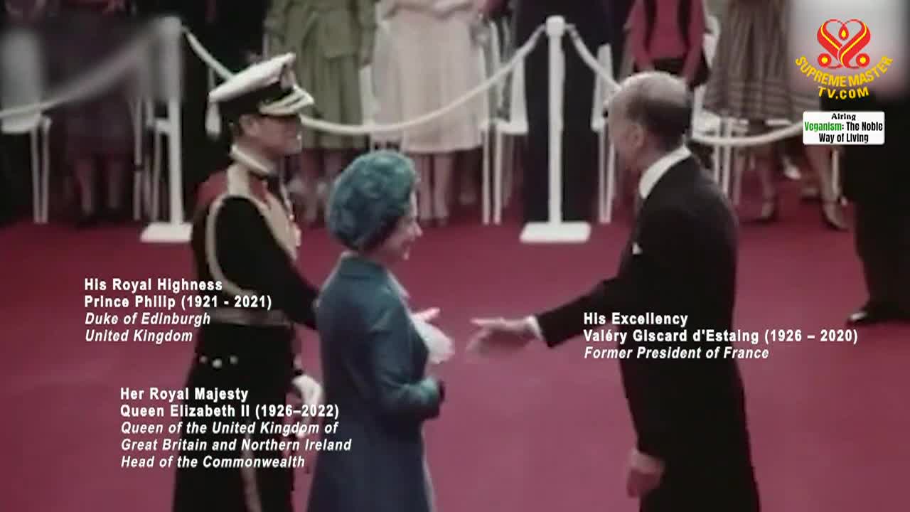 Supreme Master TV - Vegan Golden Pumpkin Custard Pies