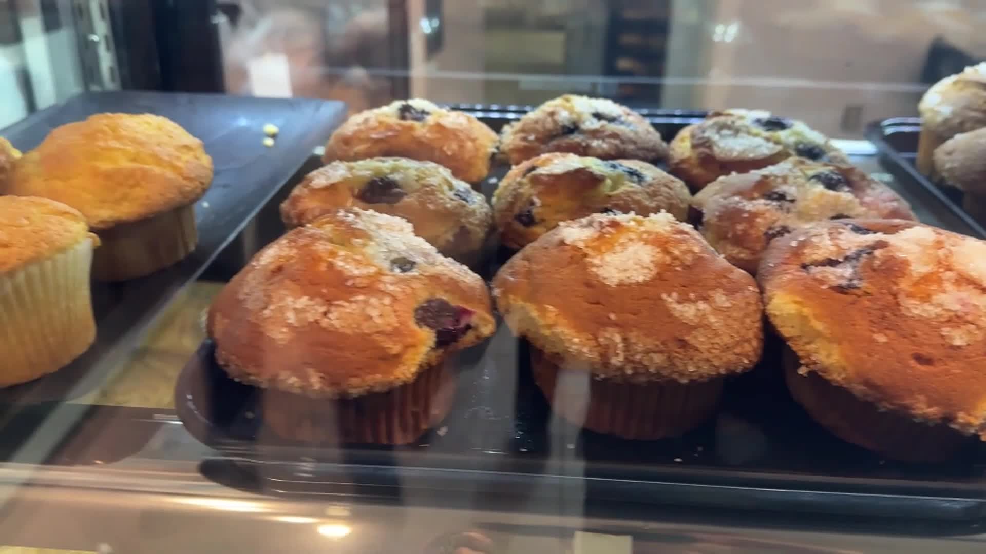 Two Grannies On The Road - Exploring Swansea Part 1