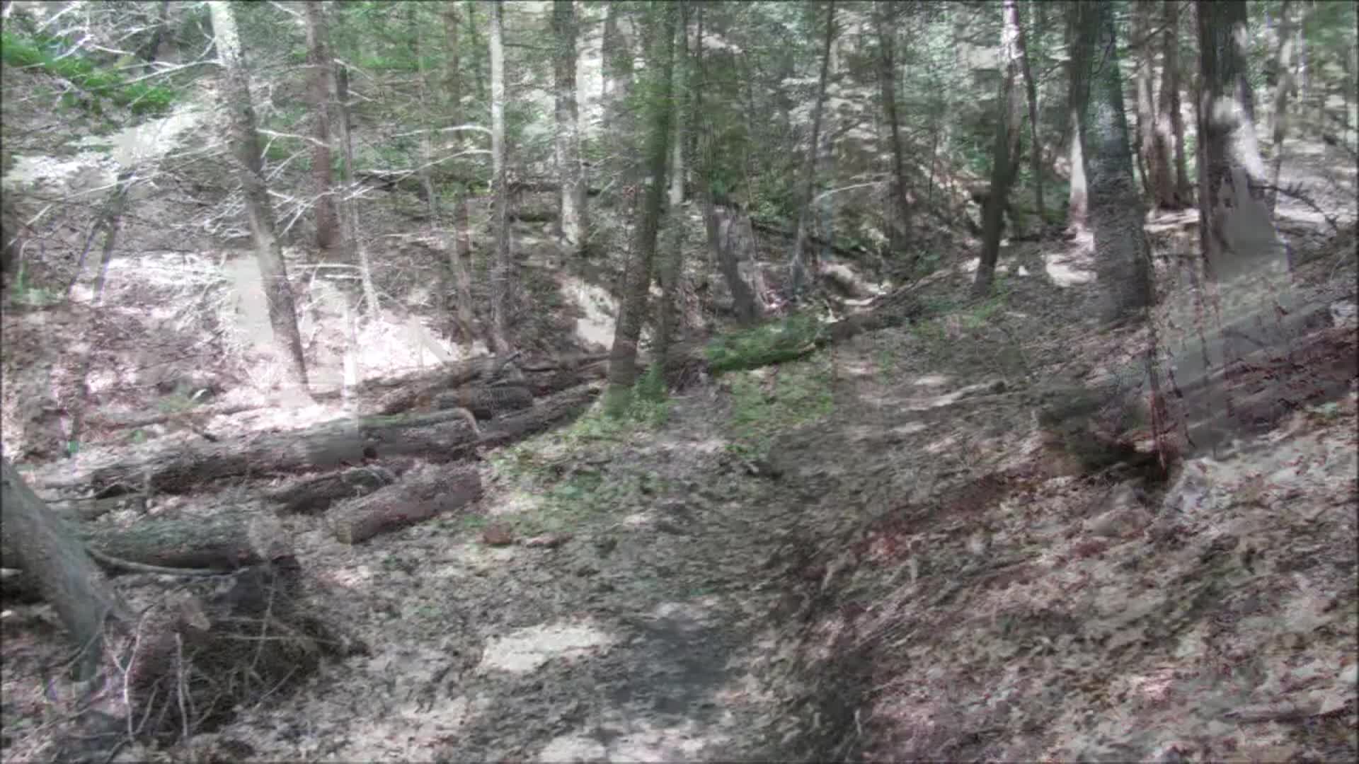 Pascommuck Conservation Trust Pomeroy Meadows Virtual Tour