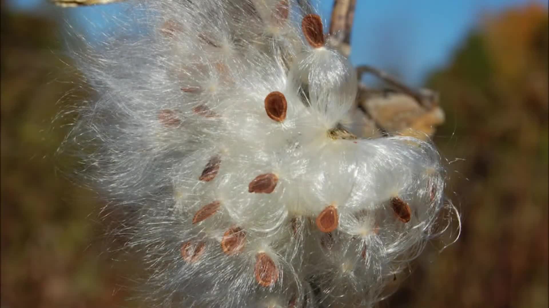 Pascommuck Conservation Trust Slide Show 2026