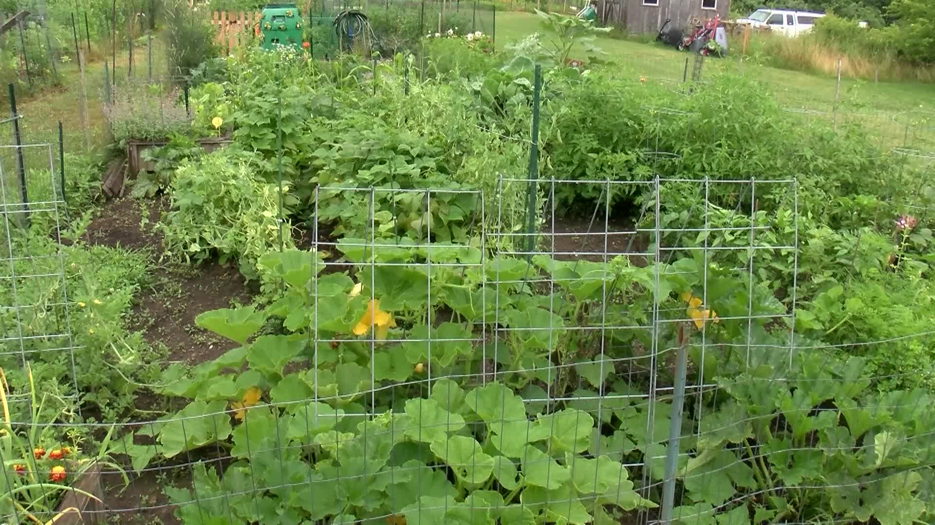 What's Cooking In Town - Beef & Oyster Stew