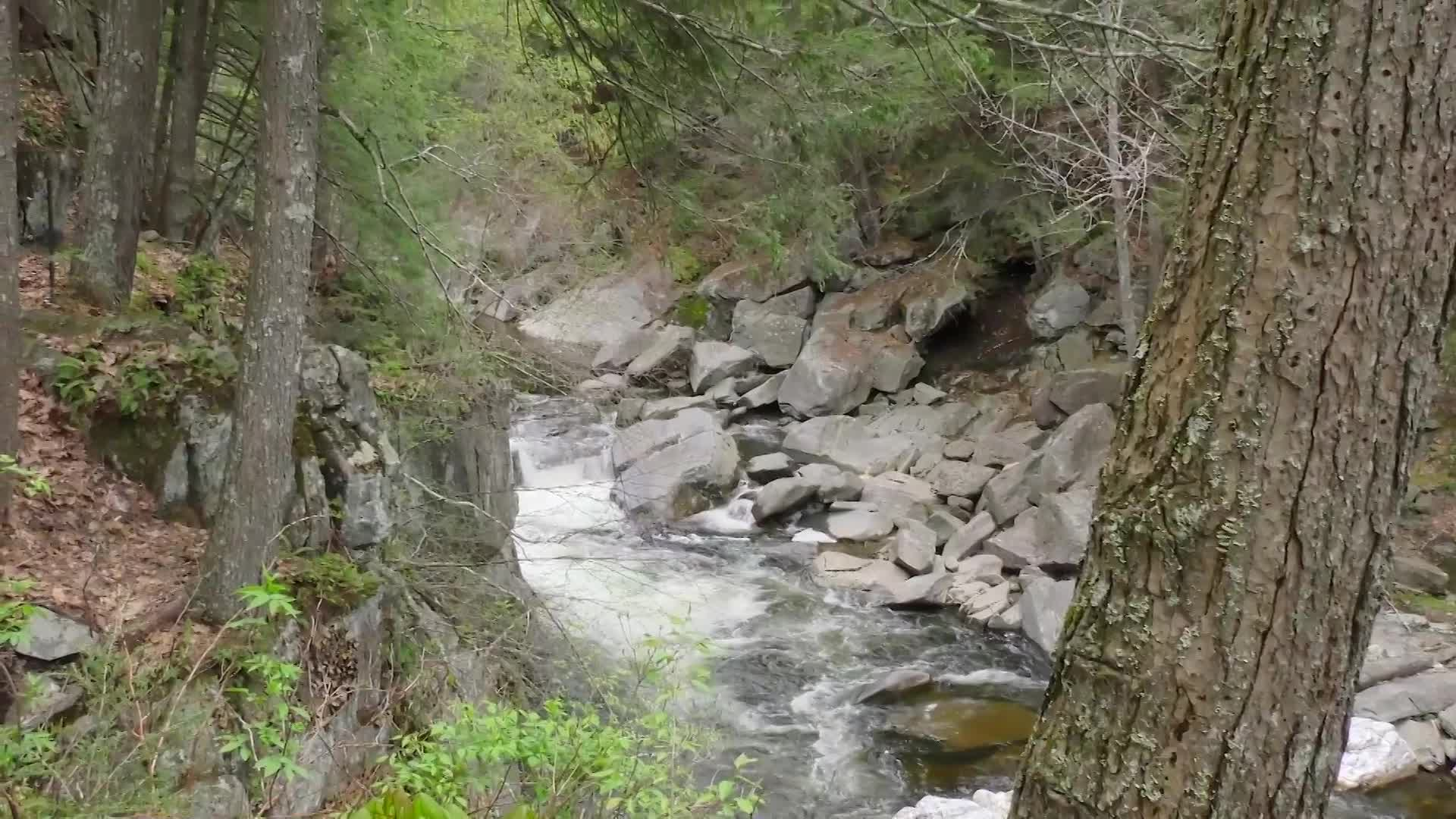 Thumbnail image for Waterfalls Of Western Mass
