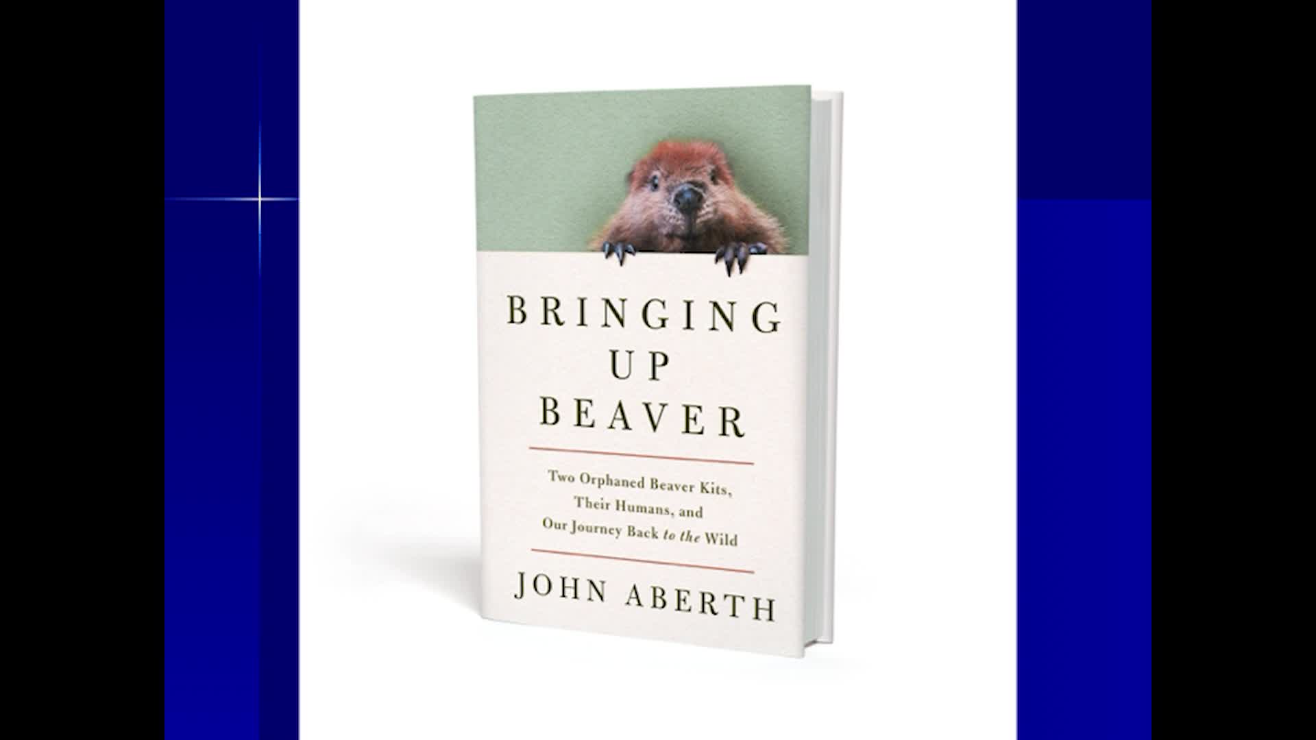 Thumbnail image for St. Johnsbury Atheneaum - Bringing Up Beaver with John Aberth