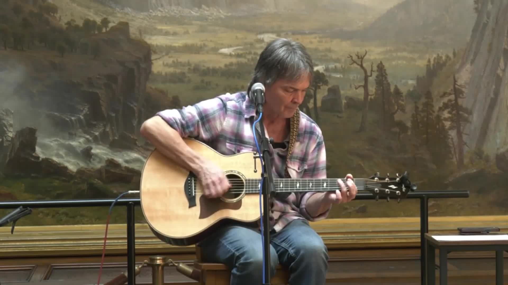 Thumbnail image for St. Johnsbury Atheneaum Music In The Gallery with Tom Stamp