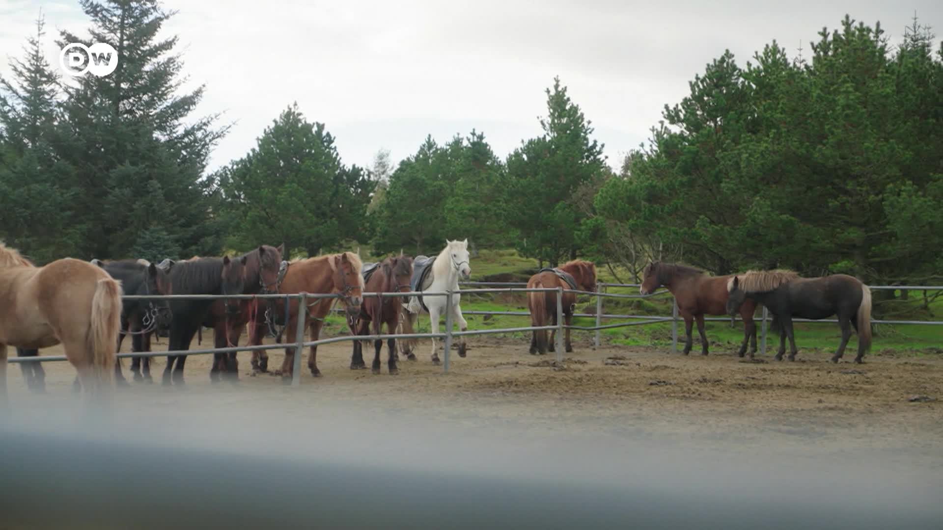 Thumbnail image for Euromaxx