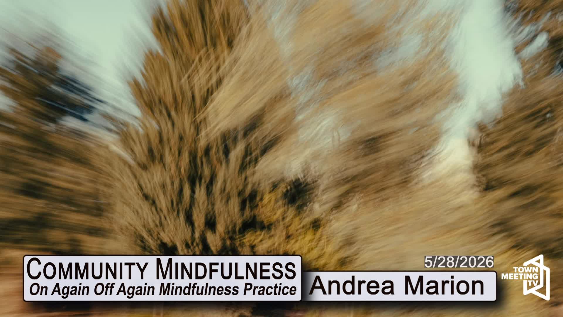 Thumbnail image for Community Mindfulness - On Again Off Again Mindfulness