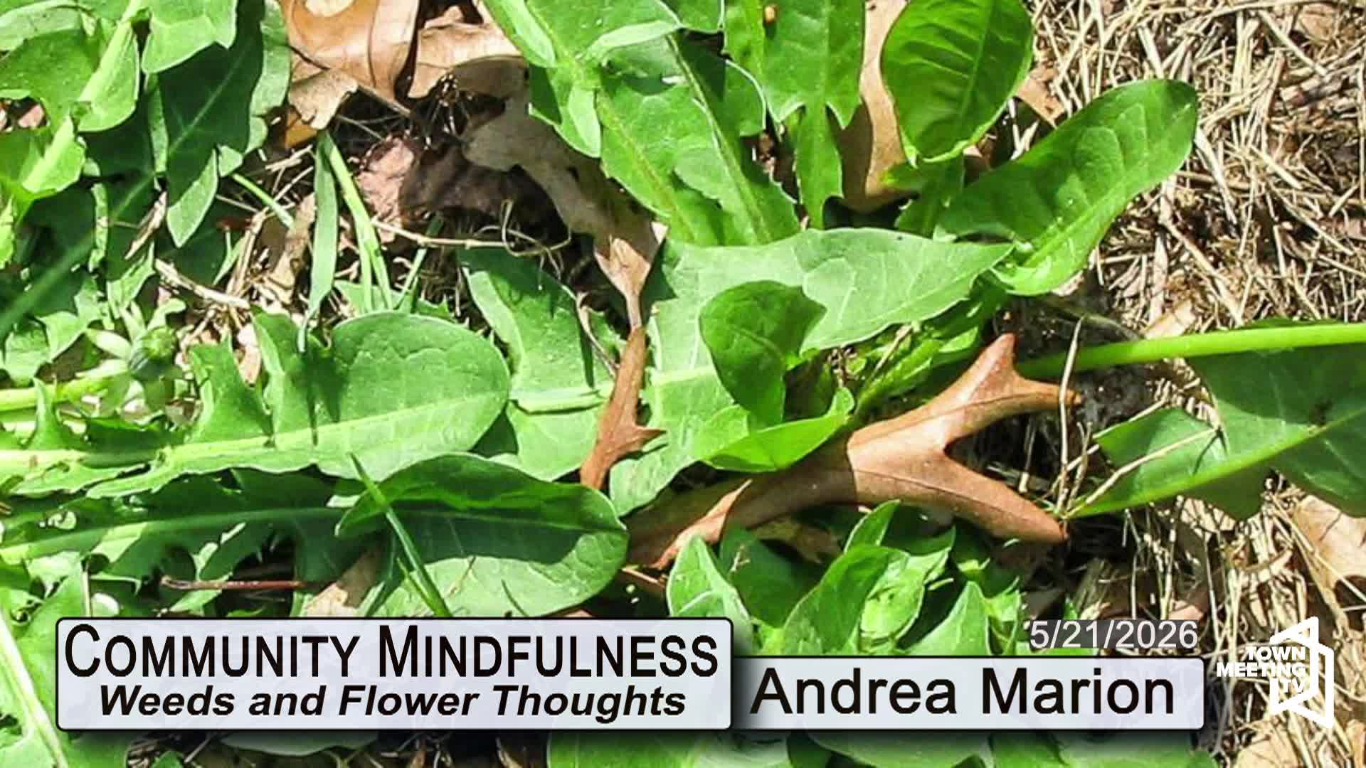 Thumbnail image for Community Mindfulness - Weeds and Flower Thoughts